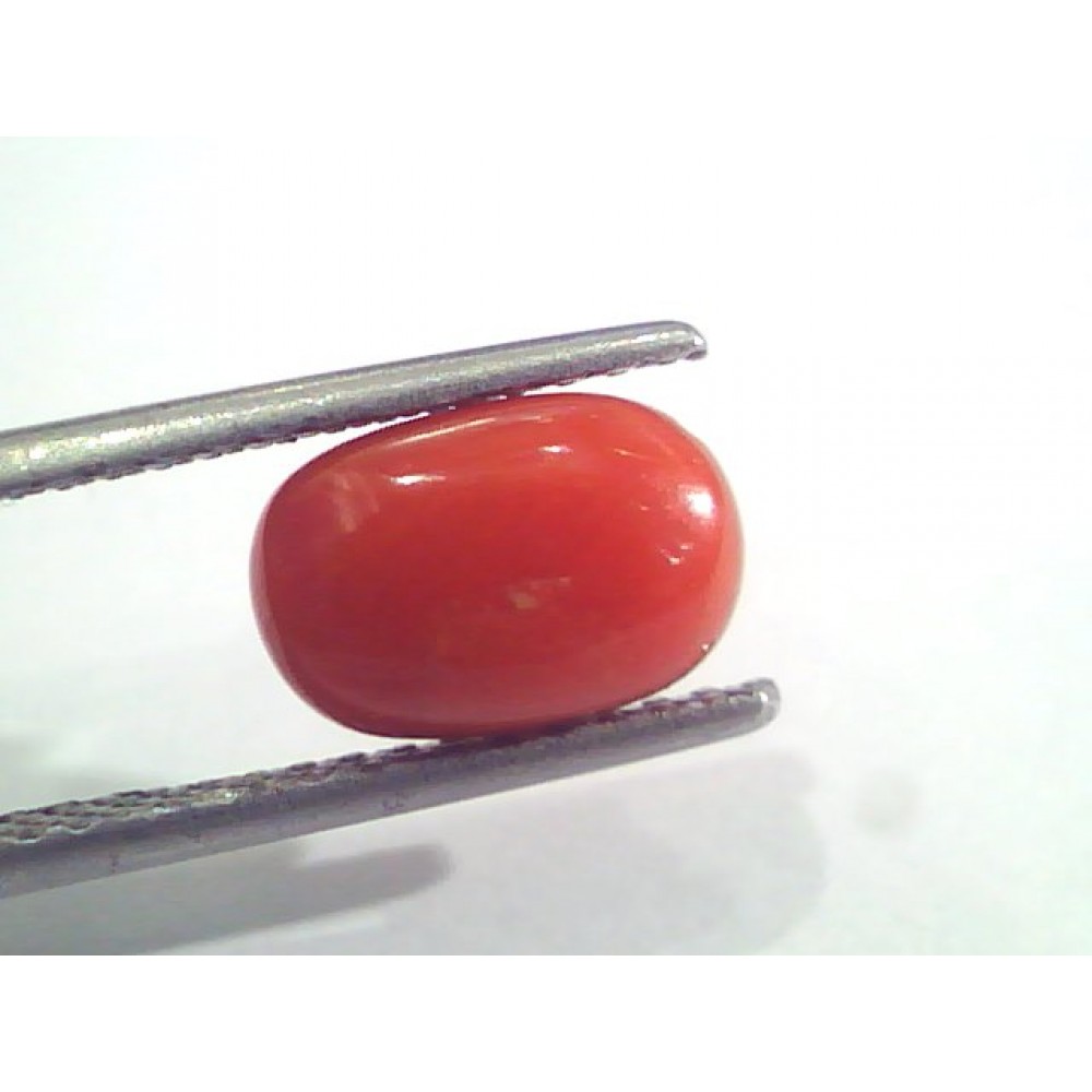 Round Coral Beads - 2.2 mm Italian Red Coral