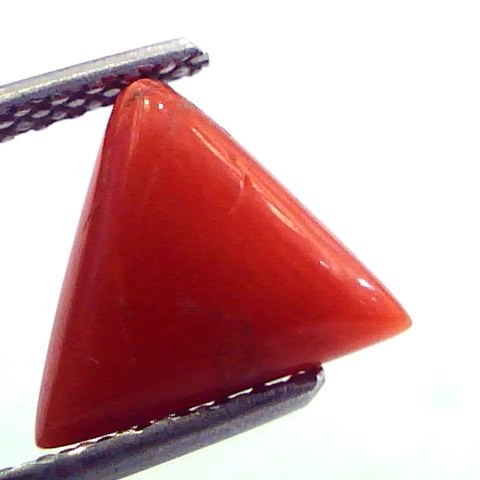 2.53 Carat Natural Italian Triangle Red Coral Moonga Gemstone