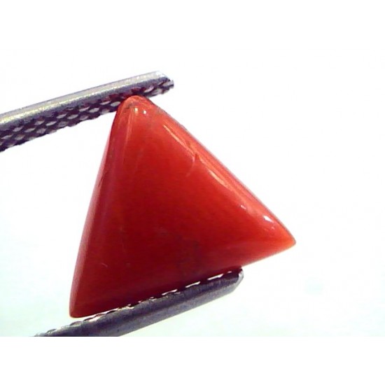 2.53 Carat Natural Italian Triangle Red Coral Moonga Gemstone