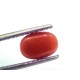 2.56 Ct 2.81 Ratti Natural Untreated Italian Red Coral Moonga Gems