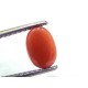2.60 Ct 4.25 Ratti Natural Untreated Italian Red Coral Moonga Gems
