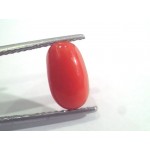 Vardan Natural Coral Stone 4.15 Carats at Rs 2500/piece