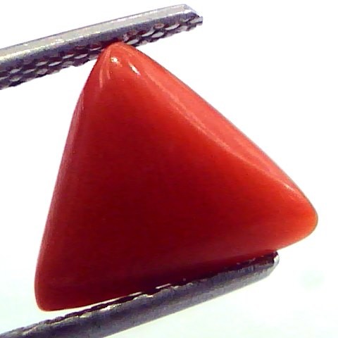 2.61 Carat Natural Italian Triangle Red Coral Moonga Gemstone