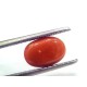 2.69 Ct 4.5 Ratti Natural Untreated Italian Red Coral Moonga Gems