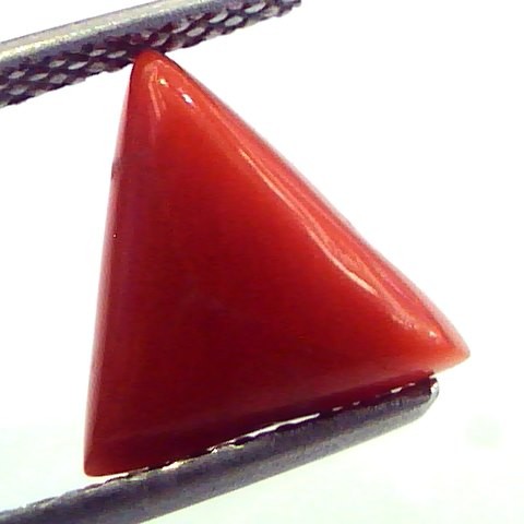 2.67 Carat Natural Italian Triangle Red Coral Moonga Gemstone
