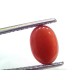 2.71 Ct 2.97 Ratti Natural Untreated Italian Red Coral Moonga Gems