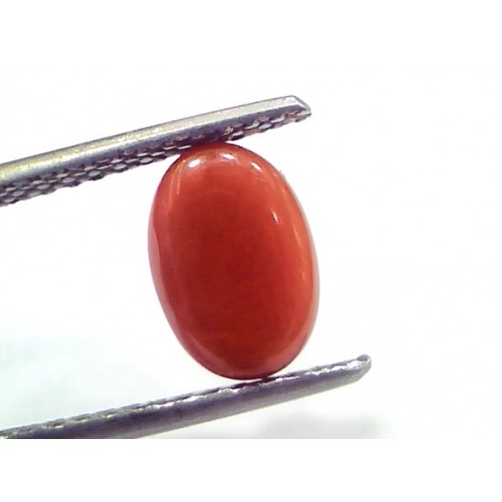 2.75 Ct 4.6 Ratti Natural Untreated Italian Red Coral Moonga Gems