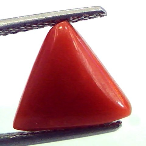2.74 Carat Natural Italian Triangle Red Coral Moonga Gemstone