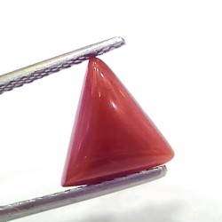 2.81 Ct 3.08 Ratti Natural Italian Triangle Red Coral Moonga Gemstone