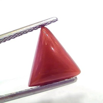 2.81 Ct 3.08 Ratti Natural Italian Triangle Red Coral Moonga Gemstone