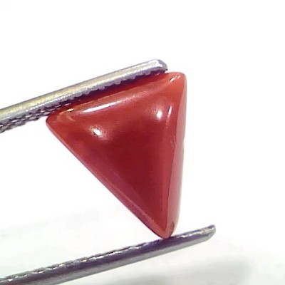 2.81 Ct 3.08 Ratti Natural Italian Triangle Red Coral Moonga Gemstone