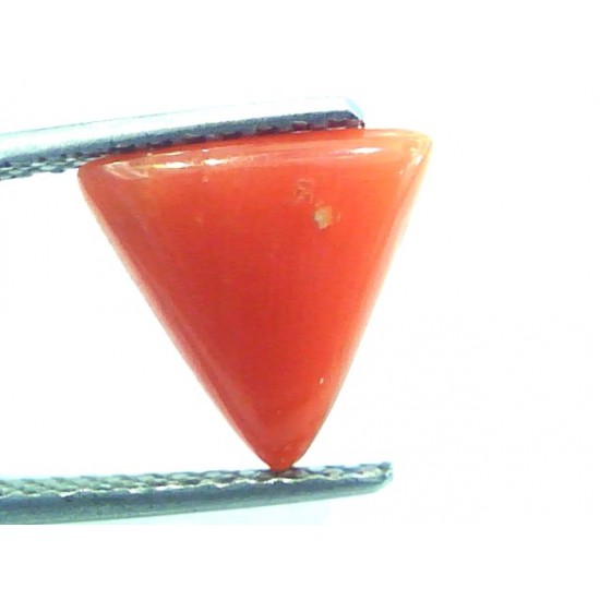 2.75 Carat Natural Italian Triangle Red Coral Moonga Gemstone