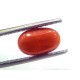 2.83 Ct 4.7 Ratti Natural Untreated Italian Red Coral Moonga Gems