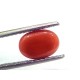 2.87 Ct 4.8 Ratti Natural Untreated Italian Red Coral Moonga Gems
