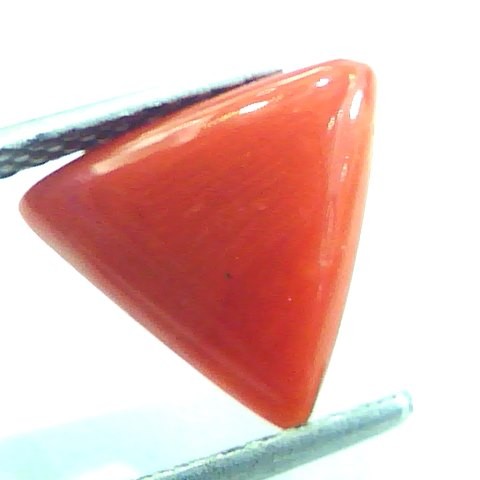 2.83 Carat Natural Italian Triangle Red Coral Moonga Gemstone