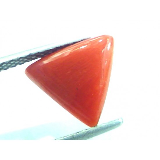 2.83 Carat Natural Italian Triangle Red Coral Moonga Gemstone