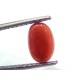 2.88 Ct 4.8 Ratti Natural Untreated Italian Red Coral Moonga Gems