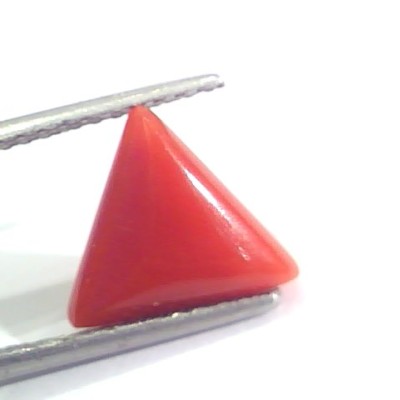 2.93 Ct 4.8 Ratti Natural Italian Triangle Red Coral Moonga Gemstone