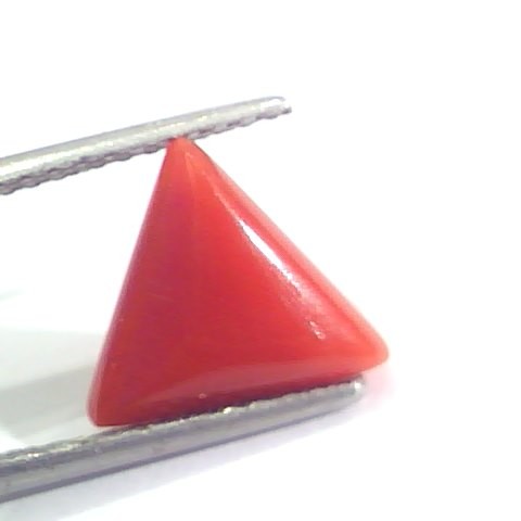 2.93 Ct 4.8 Ratti Natural Italian Triangle Red Coral Moonga Gemstone