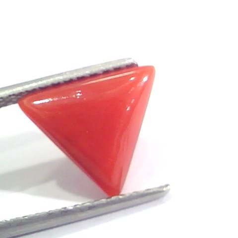 2.93 Ct 4.8 Ratti Natural Italian Triangle Red Coral Moonga Gemstone