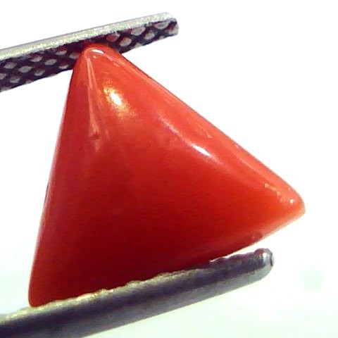 2.89 Carat Natural Italian Triangle Red Coral Moonga Gemstone