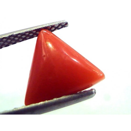 2.89 Carat Natural Italian Triangle Red Coral Moonga Gemstone
