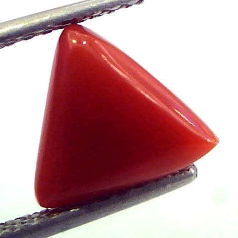 2.90 Carat Natural Italian Triangle Red Coral Moonga Gemstone