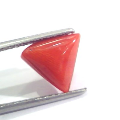 2.95 Ct 4.8 Ratti Natural Italian Triangle Red Coral Moonga Gemstone