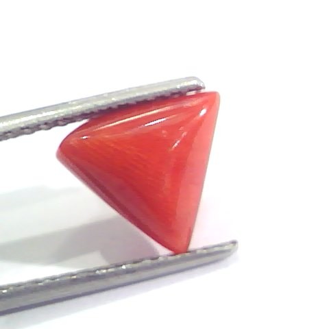 2.95 Ct 4.8 Ratti Natural Italian Triangle Red Coral Moonga Gemstone