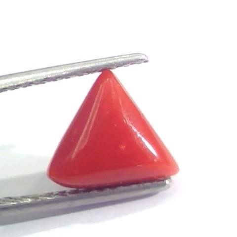 2.95 Ct 4.8 Ratti Natural Italian Triangle Red Coral Moonga Gemstone