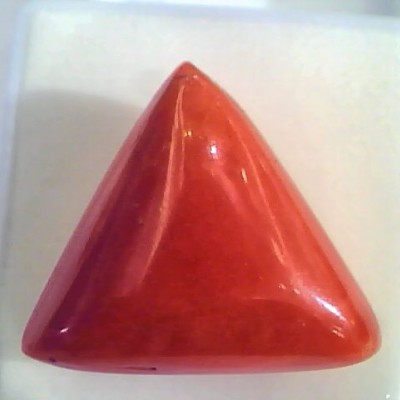 Huge 21.61 Ct Untreated Natural Italian Triangle Red Coral AAA