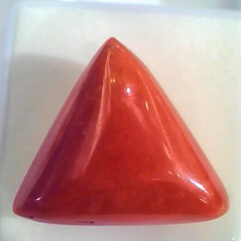 Huge 21.61 Ct Untreated Natural Italian Triangle Red Coral AAA