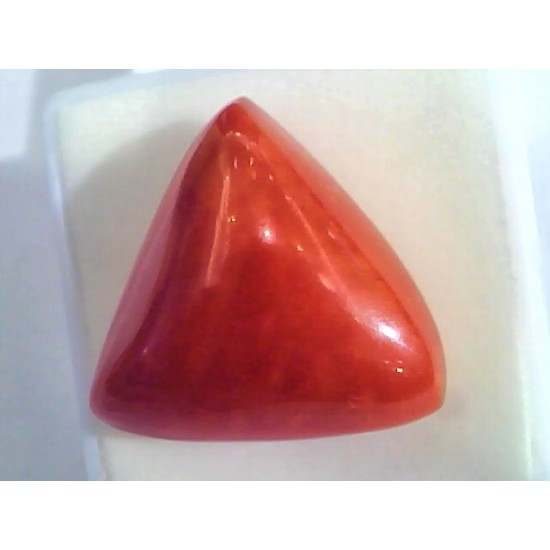 Huge 22.70 Ct Untreated Natural Italian Triangle Red Coral AAA