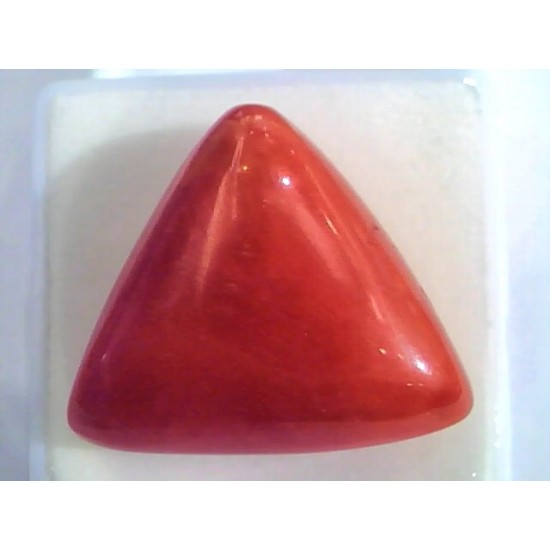 Huge 24.30 Ct Untreated Natural Italian Triangle Red Coral AAA