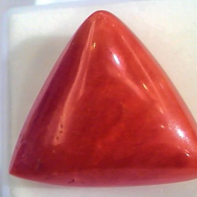 Huge 24.30 Ct Untreated Natural Italian Triangle Red Coral AAA