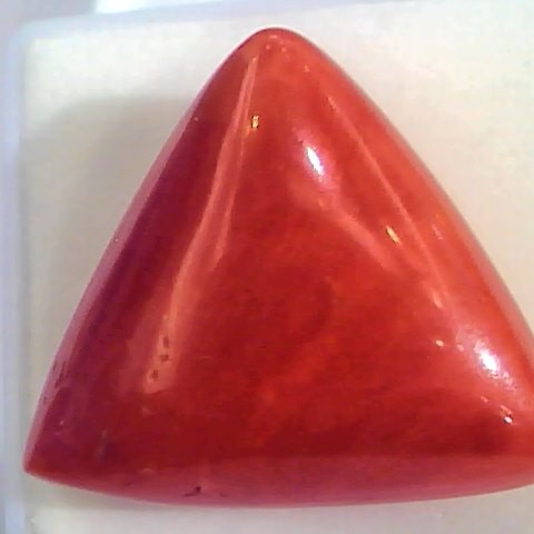 Huge 24.30 Ct Untreated Natural Italian Triangle Red Coral AAA