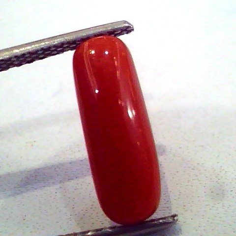 3.01 Carat Natural Italian Red Coral Moonga Gemstone