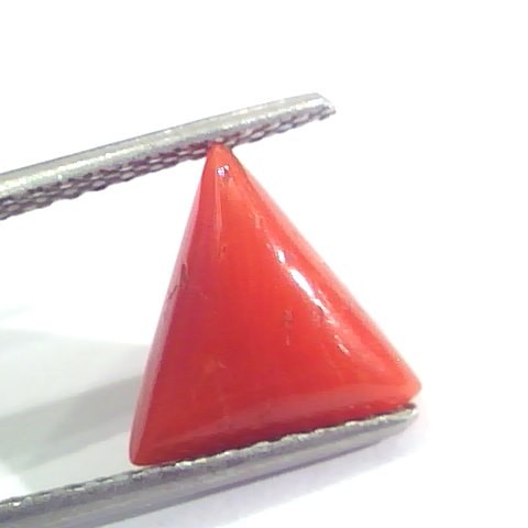 3.11 Ct 5.1 Ratti Natural Italian Triangle Red Coral Moonga Gemstone
