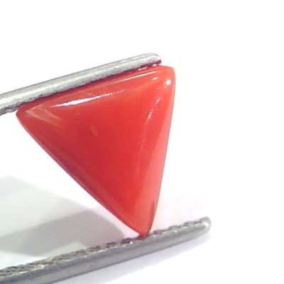3.11 Ct 5.1 Ratti Natural Italian Triangle Red Coral Moonga Gemstone