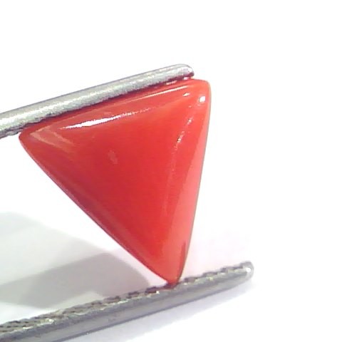 3.11 Ct 5.1 Ratti Natural Italian Triangle Red Coral Moonga Gemstone