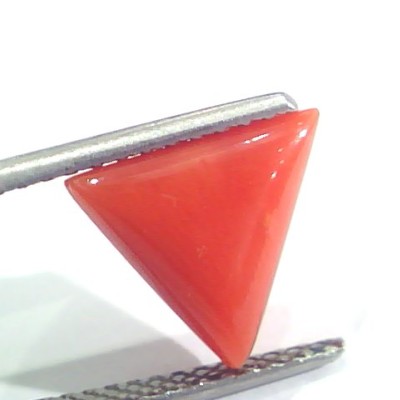 3.20 Ct 5.3 Ratti Natural Italian Triangle Red Coral Moonga Gemstone