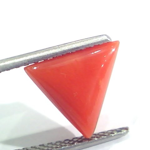 3.20 Ct 5.3 Ratti Natural Italian Triangle Red Coral Moonga Gemstone
