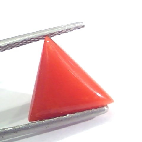 3.20 Ct 5.3 Ratti Natural Italian Triangle Red Coral Moonga Gemstone