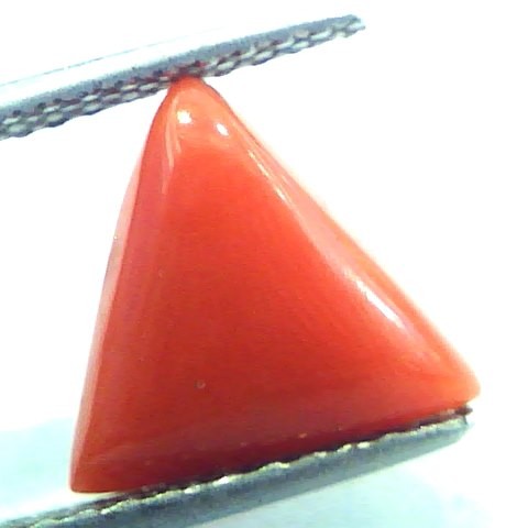 3.17 Carat Natural Italian Triangle Red Coral Moonga Gemstone