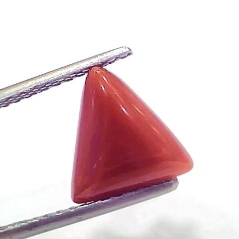 3.30 Ct 5.5 Ratti Natural Italian Triangle Red Coral Moonga Gemstone