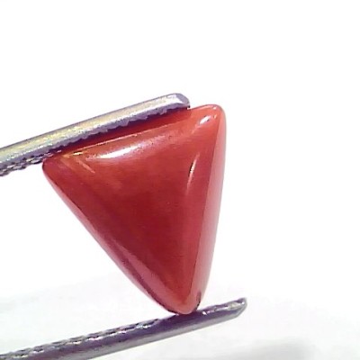 3.30 Ct 5.5 Ratti Natural Italian Triangle Red Coral Moonga Gemstone