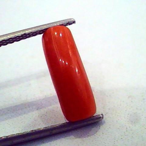 3.33 Carat Natural Italian Red Coral Moonga Gemstone