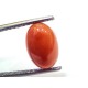 3.38 Ct 5.5 Ratti Natural Untreated Italian Red Coral Moonga Gems