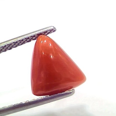 3.43 Ct 3.76 Ratti Natural Italian Triangle Red Coral Moonga Gemstone