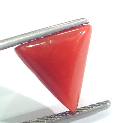 3.45 Ct 5.75 Ratti Natural Italian Triangle Red Coral Moonga Gemstone